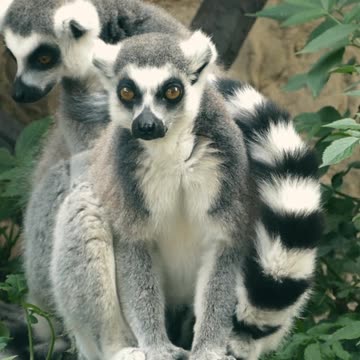 love and carrying ll Epic Fail ll