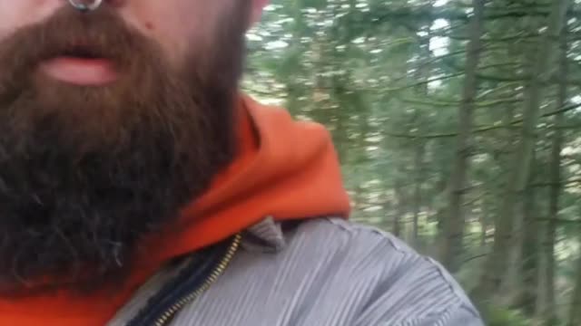 I'ma poke it with a stick!