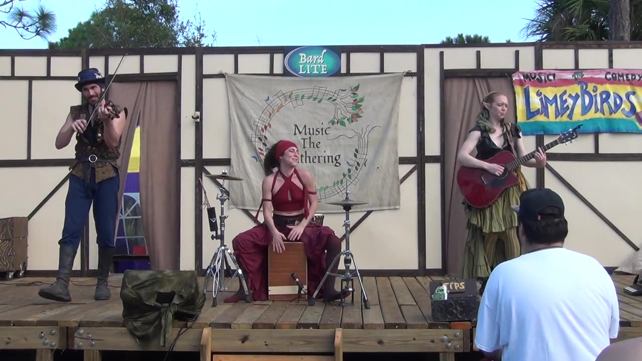 Brevard Renaissance Fair 2020: Music the Gathering - Misirlouckoo's Nest (3)