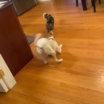 They don’t beat someone who’s lying down, especially since he’s almost dead!!