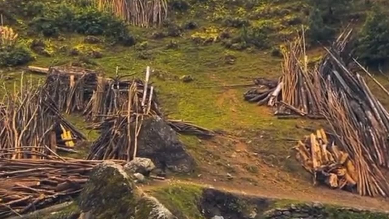 Sorry for beginners but we don't know how we should do this 😔 but I think we