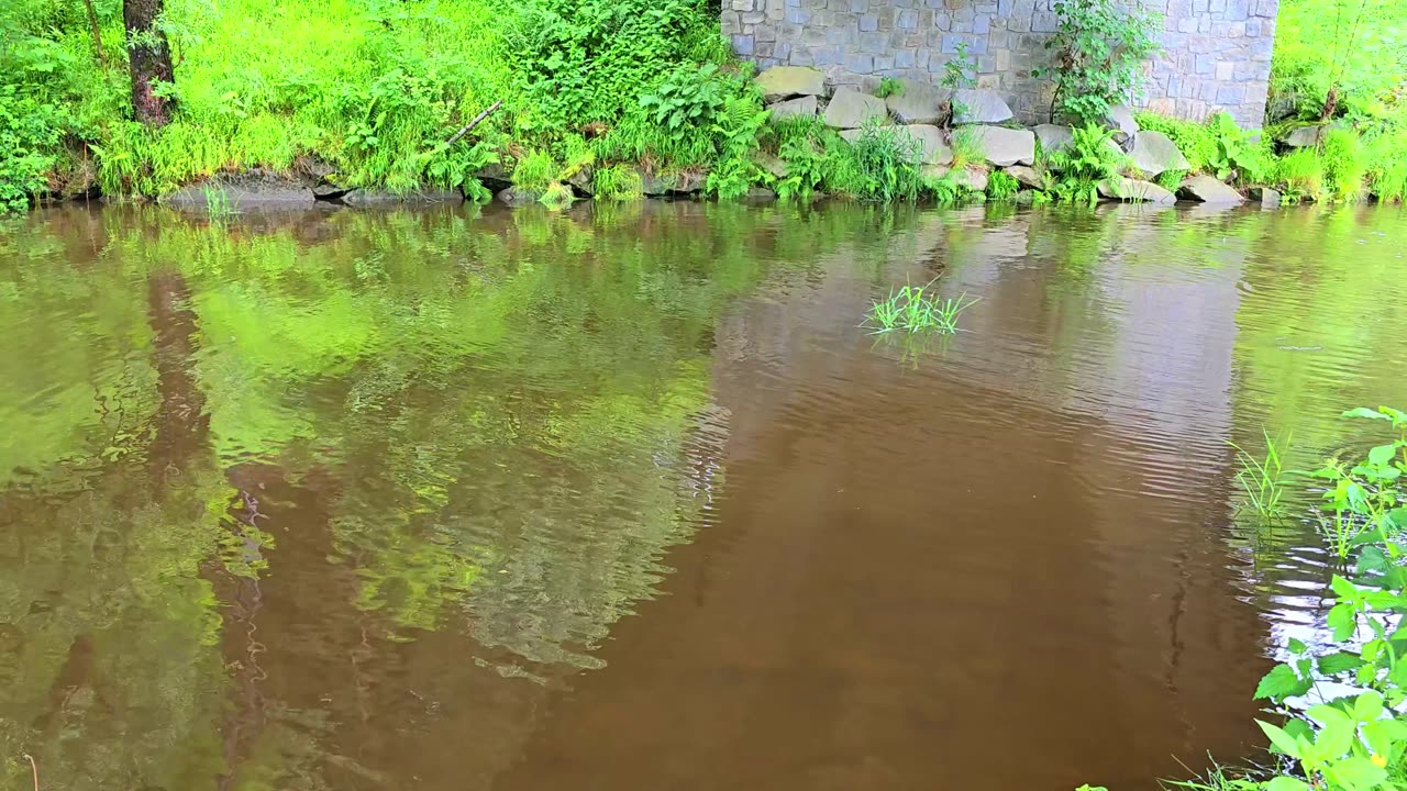 A river under a bridge with muddy water / beautiful river.