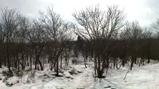 UpNorth Virtual Trail Tour: Winter 2022: Nutting Hill Via Mt Watatic Summit