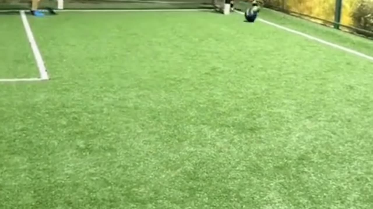 A day without laughter is a day without meaning😅😅😅😅😅😅😁