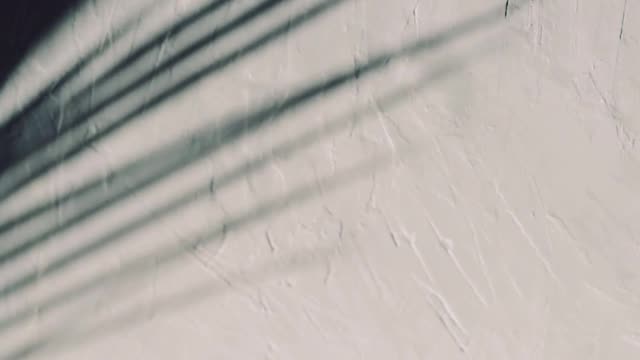 shadow-of-palm-leaves