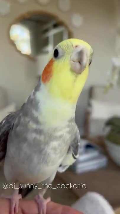 Another One Bites the Seed