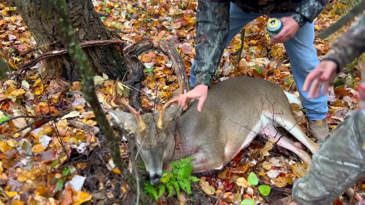 Tina's Buck 2023 Day one at Camp