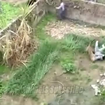 Learn how to survive a leopard 🐆 attack #leopardattackindia #leopardattack #leopard #short #shorts