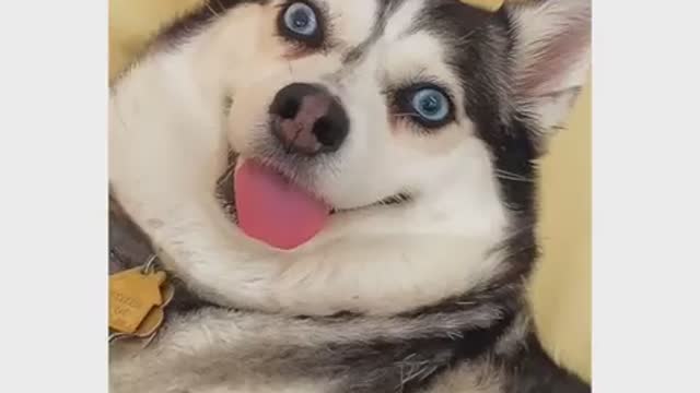 When the edible hits....