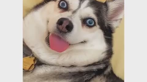 When the edible hits....