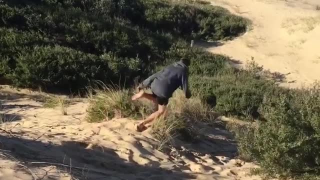 Collab copyright protection - blue sweater sand faceplant bush