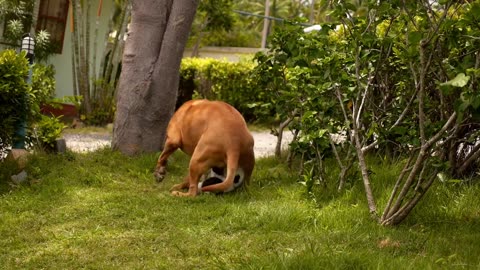 Cute funny Animals to brighten up your day 😊