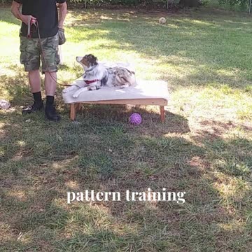 Ruff Cut PodCast Leash Handling part 3 cut d