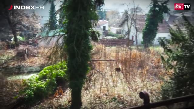 Rankovićeva vila izgleda kao ukleta kuća