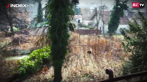 Rankovićeva vila izgleda kao ukleta kuća