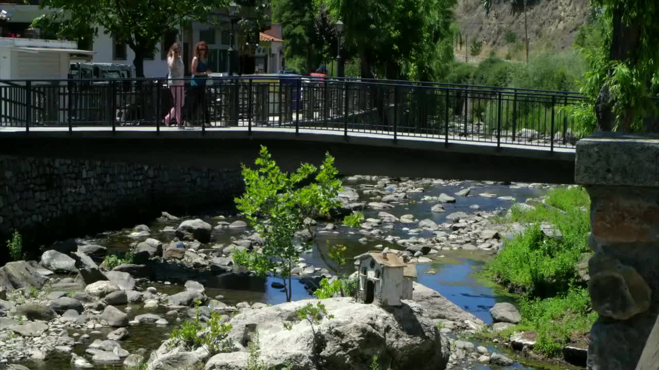 Group Of Ducks In A River Near Forest