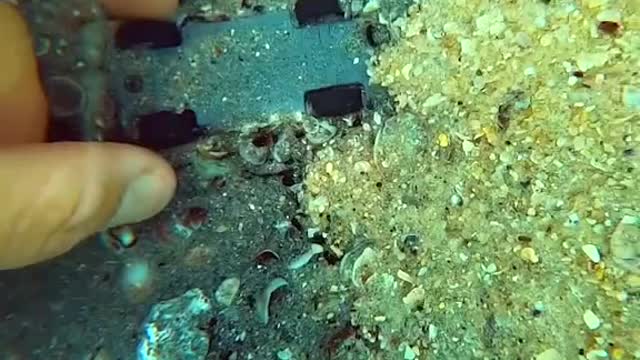 Clean up the underwater garbage and protect the marine natural environment.#15