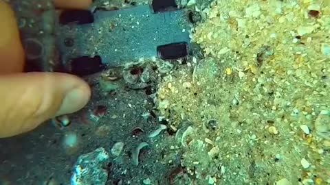 Clean up the underwater garbage and protect the marine natural environment.#15