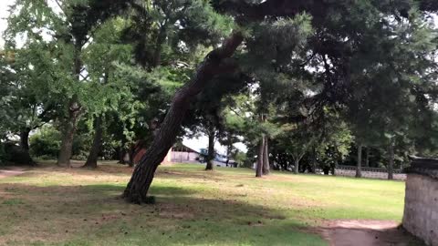 서산 단군과 관련된 내용 2022/09/23