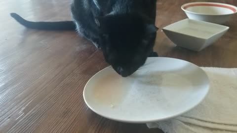 20240817 114642 Tux Chicken Juicing