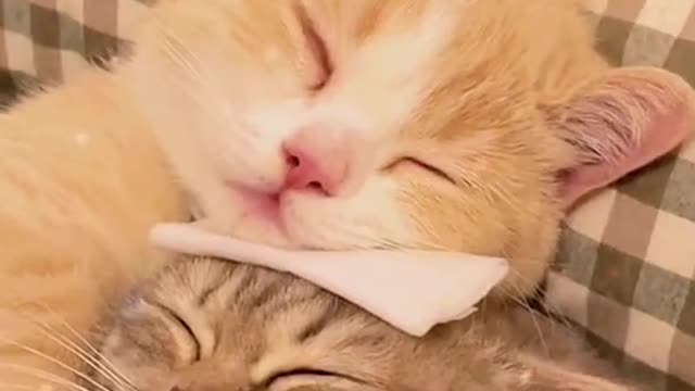 I love you honey 😘🥰
