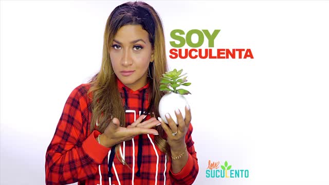 Soy Suculenta