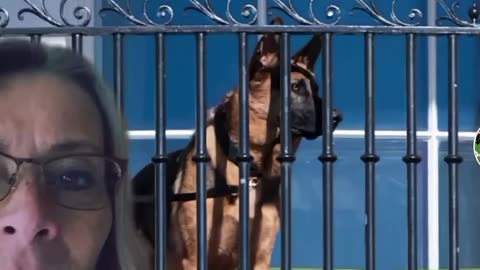 The next 10 days....‼️‼️‼️‼️