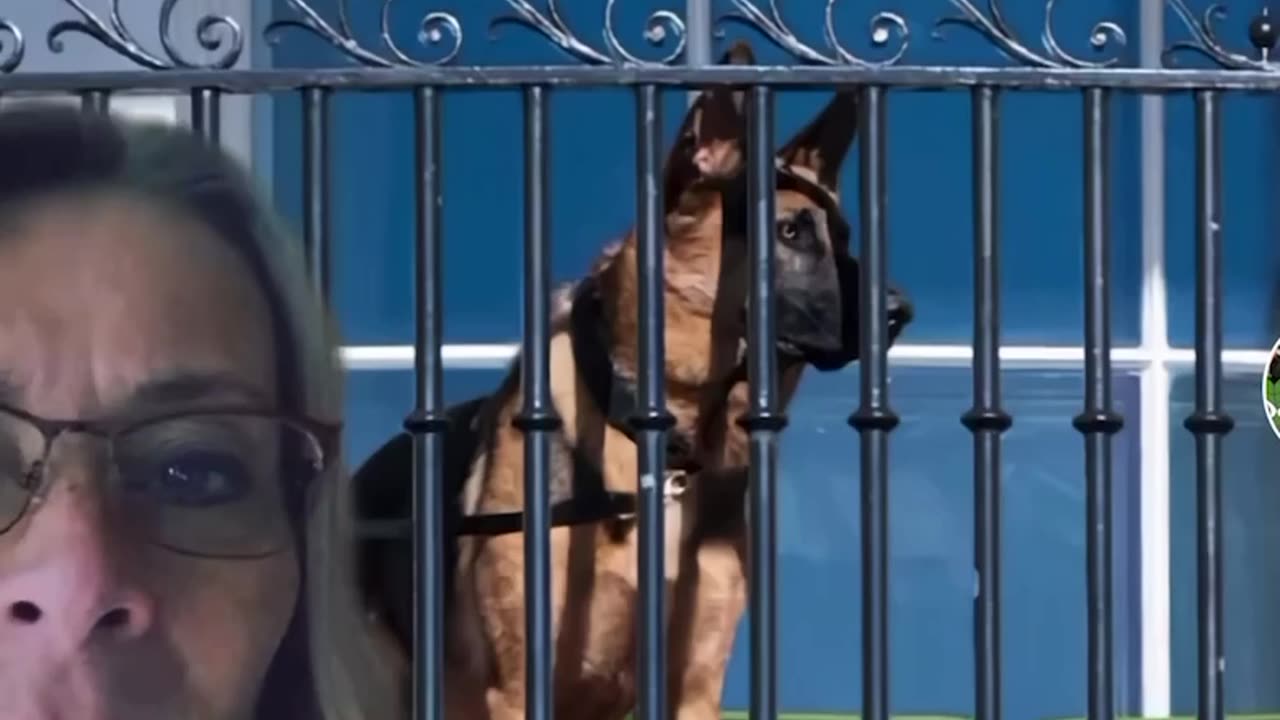 The next 10 days....‼️‼️‼️‼️