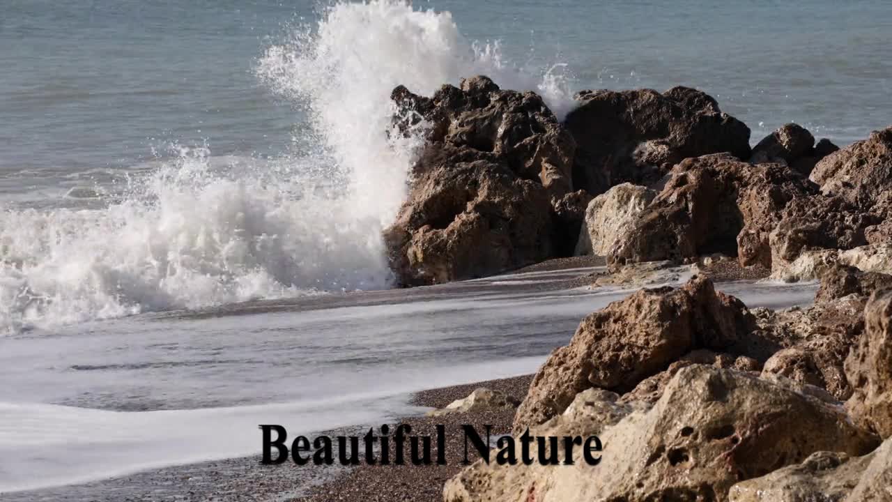 Beautiful Nature #1