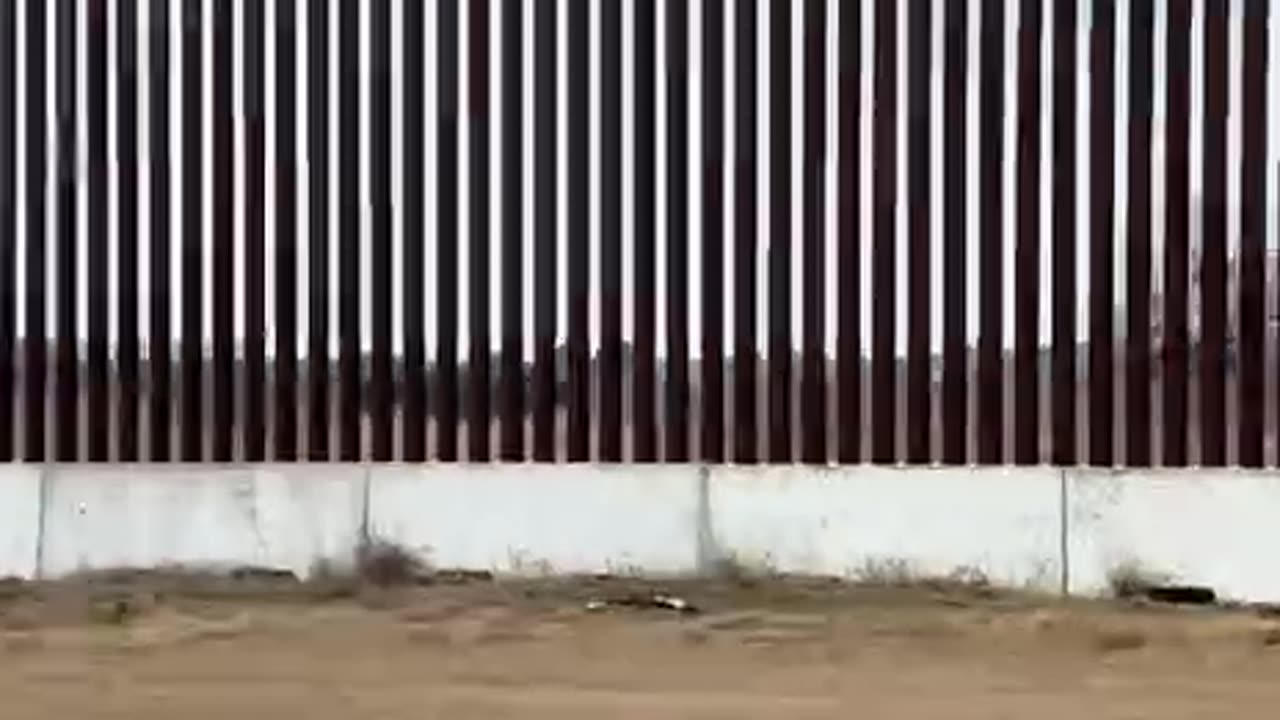 THE BOARDER WAR - STAY OUT OF THE CIRCUS - LIVE FOOTAGE!