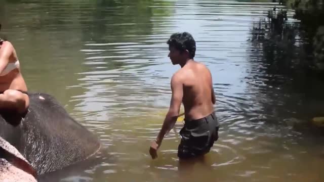 Funny video of wild animals 2021
