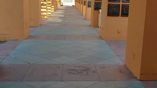 Good morning from The Walt Disney Studios