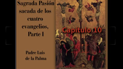 ✝️ Historia de la Sagrada Pasión de Padre Luis de la Palma - Capítulo 10