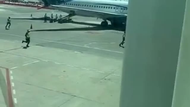 Dog escapes from luggage compartment and causes chaos at airport