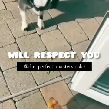 Sweet pup and her mom protection her always