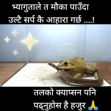 Power never stay in one hand