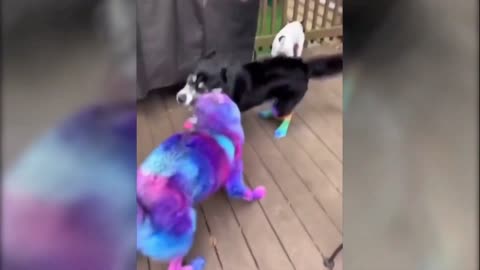 What Is happening there?
