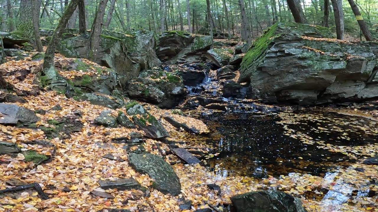 Cascade