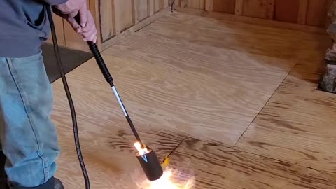 Tiger torching a new floor