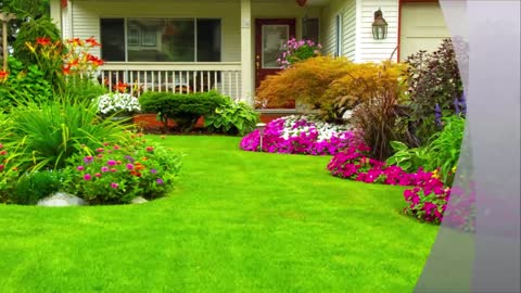 Better Homes Landscaping