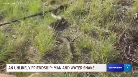 MAN & SEA SNAKE! FRIENDS? PET? 😱