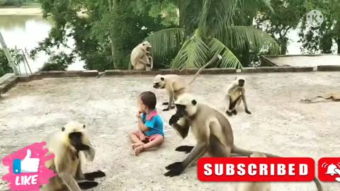 Funny dozens of monkeys and two small children target