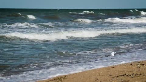 Sea waves reaching the beach sand