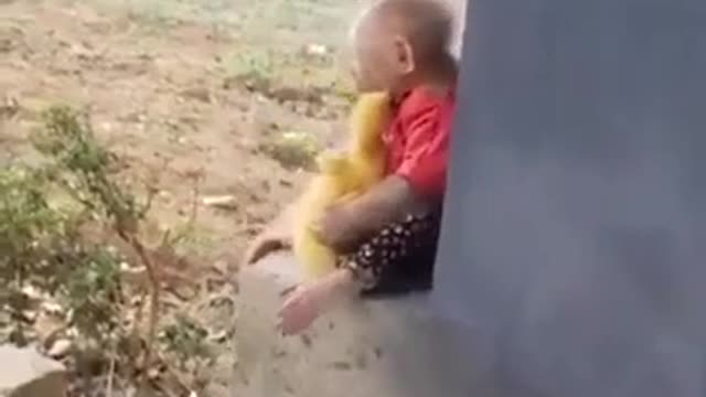 Monkey & Duck