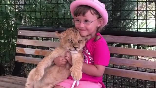 Girl sitting with the tiger's cubs at zoo