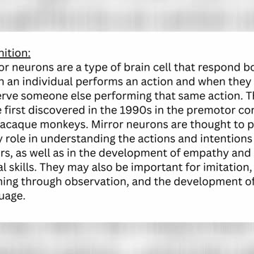 Clip - Social interaction and the Self #consciousness