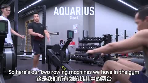 12 Zodiac Signs In The Gym