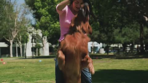 The coolest video of a dog.