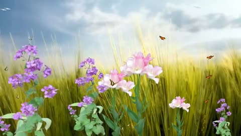 Butterfly Paradise Screensaver