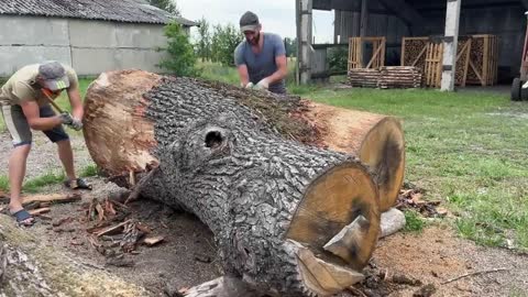 We executed an order for sawing into large oak planks